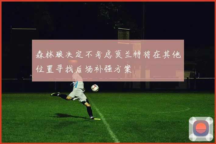 森林狼决定不考虑莫兰特将在其他位置寻找后场补强方案